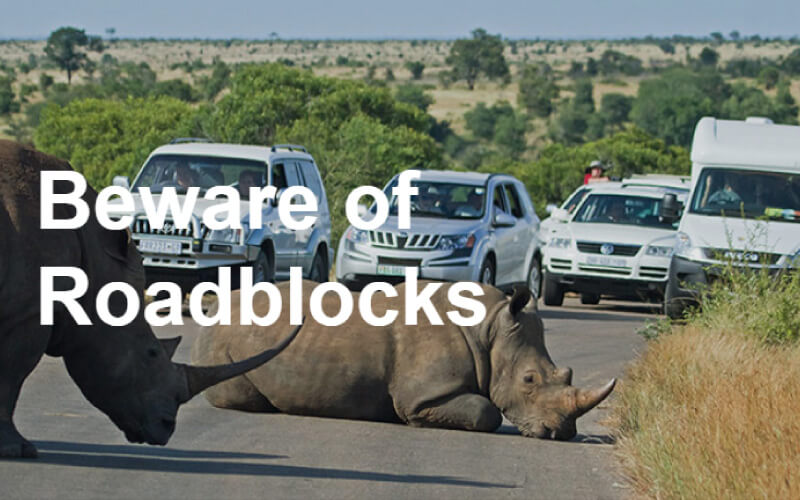 beware-of-roadblocks