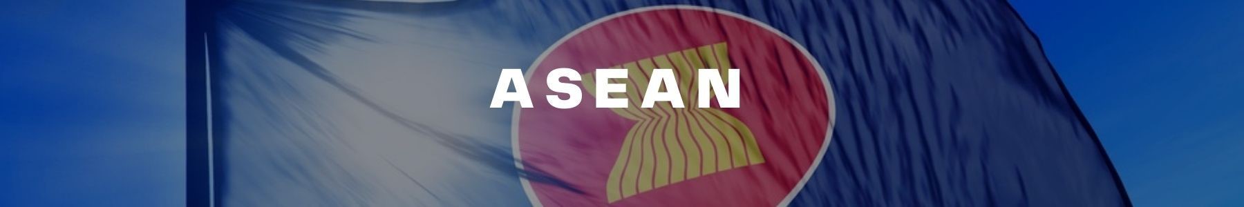 ASEAN July 2021 TM