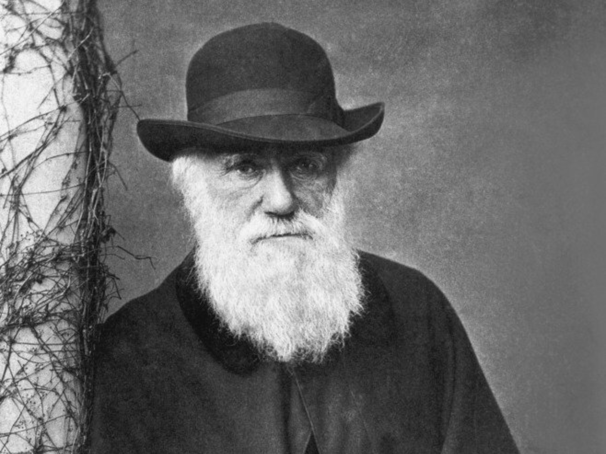 Charles Darwin, pictured in 1881, is remembered for the concept of natural selection but it was proposed far earlier, by the Arab writer Al-Jahiz. File photo