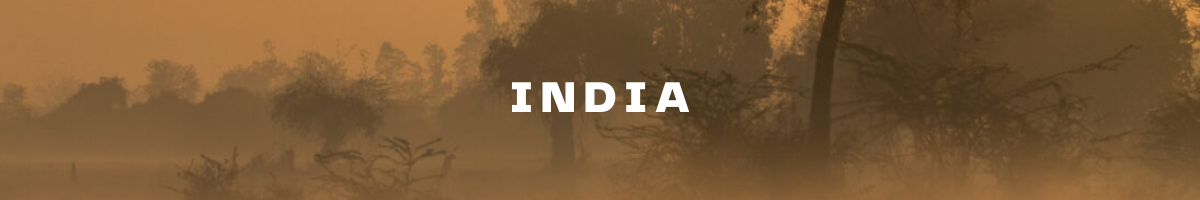 Tomorrow_Matters_India_Header_July_2022